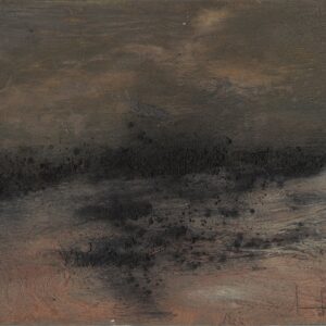 Estudio Camino-Desierto