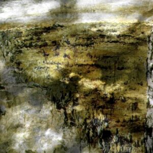 Camino-Desierto