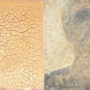 Instante-Desierto I