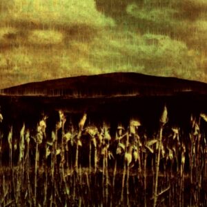Ocaso-Desierto