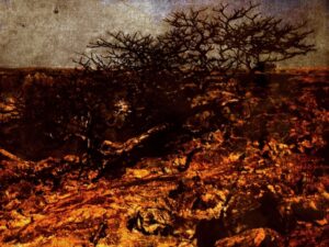 Sangre-Desierto