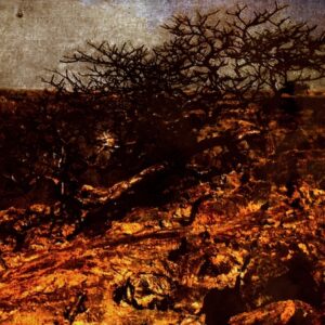 Sangre-Desierto